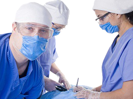 BIG Inventory's professional inventory service provide expertise in capture all of the details throughout your hospital